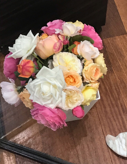 image1.jpeg