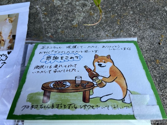 card2.jpeg