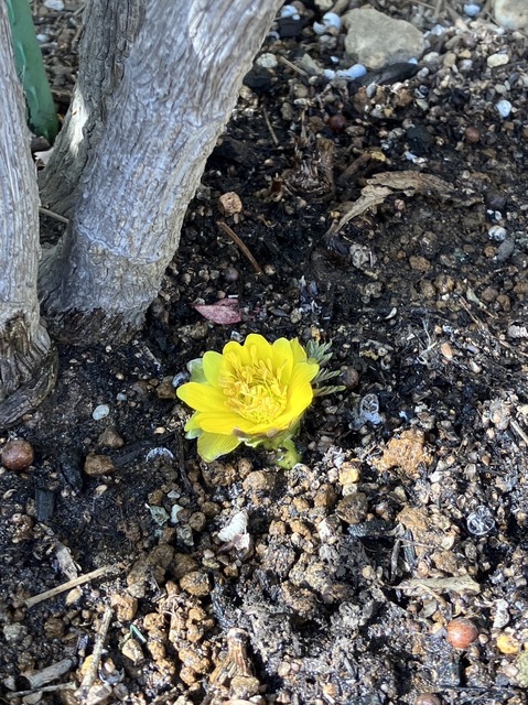 image1.jpeg